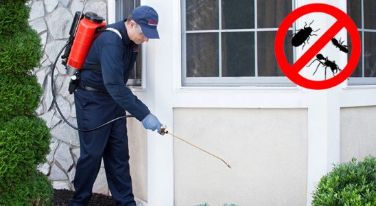 Saimbeyli Dezenfeksiyon böcek ilaçlama ve haşere kontrolü — ilaclama-tr.com
